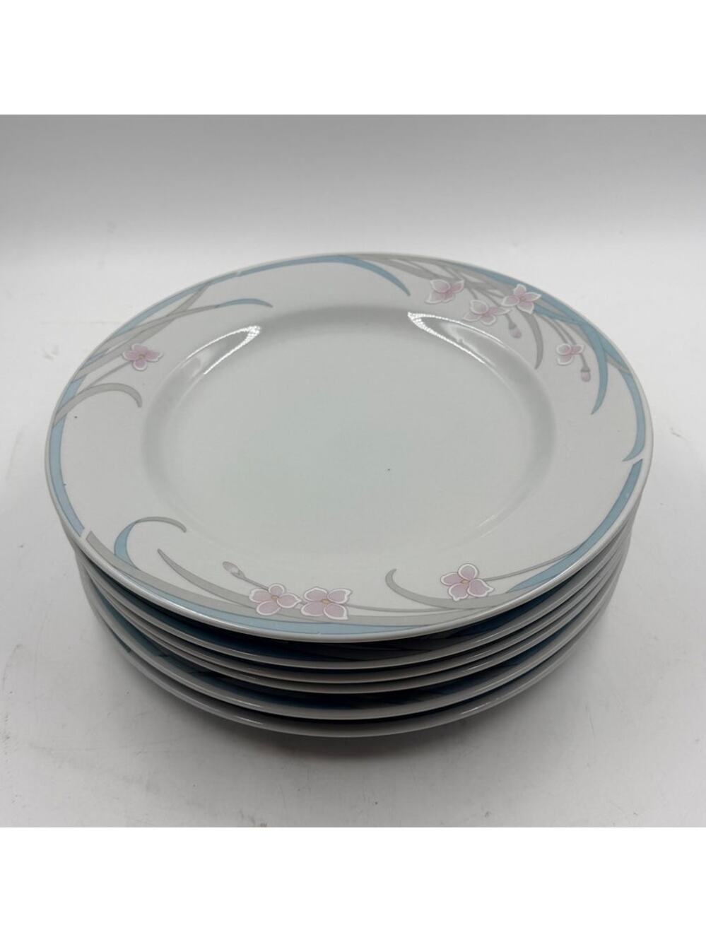 Vintage 1980's Set of 6 Dinner Plates 10.5" Inch Blue Pink on White Porcelain